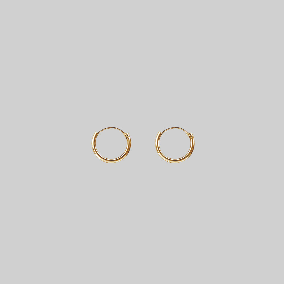Small Gold Hoops