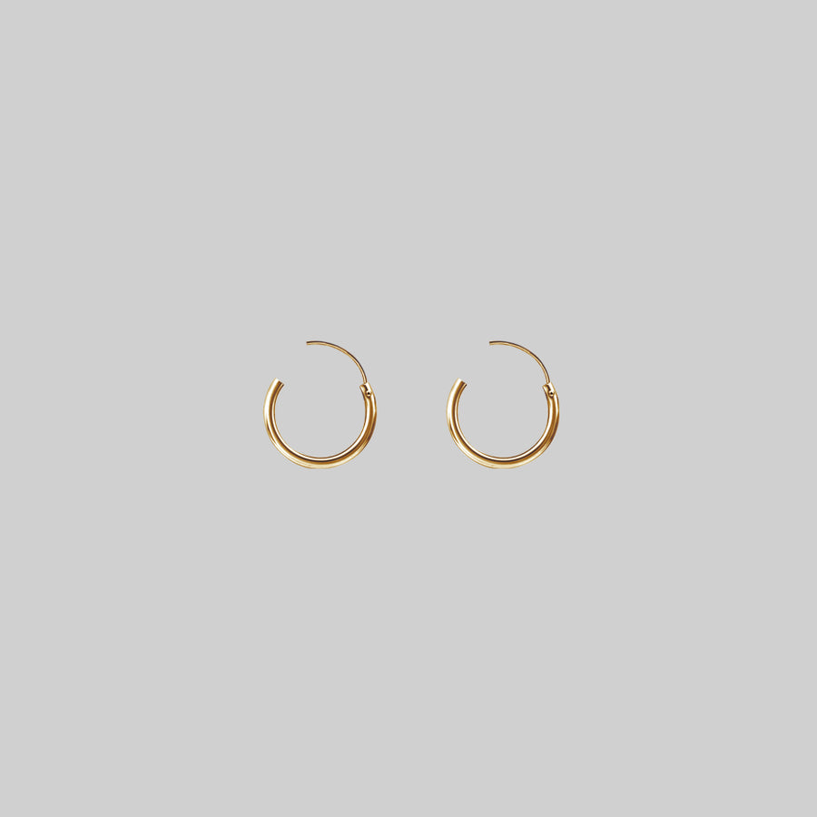 Small Gold Hoops Small Gold Hoops