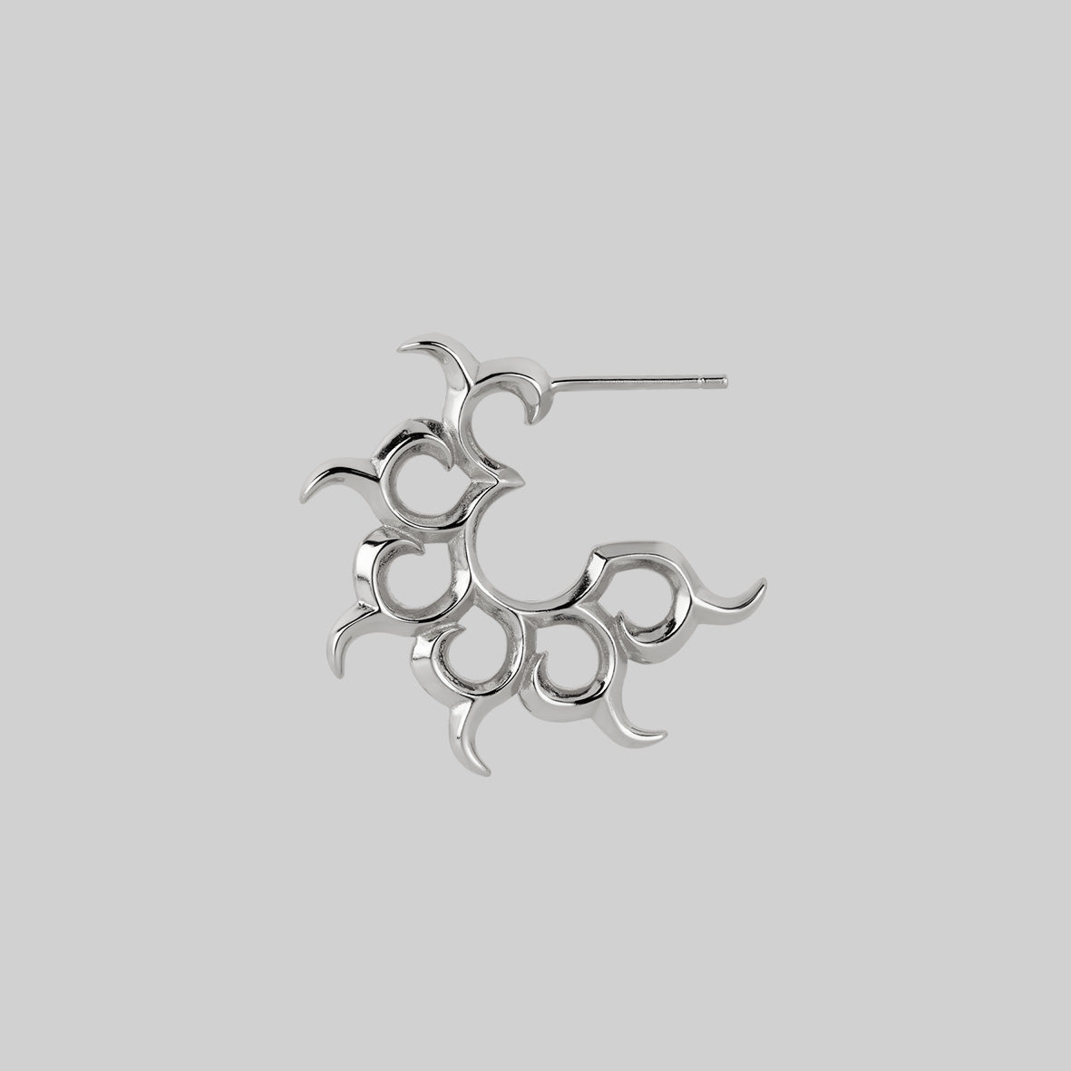 silver hoop earrings