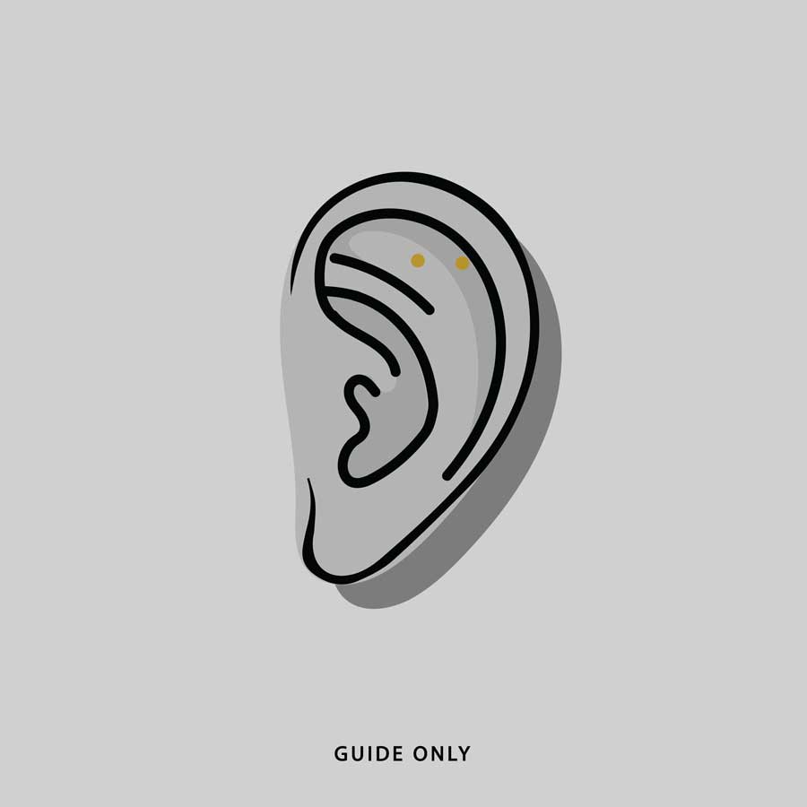THORA. Climbing Ivy Ear Stud - Silver ear placement guide