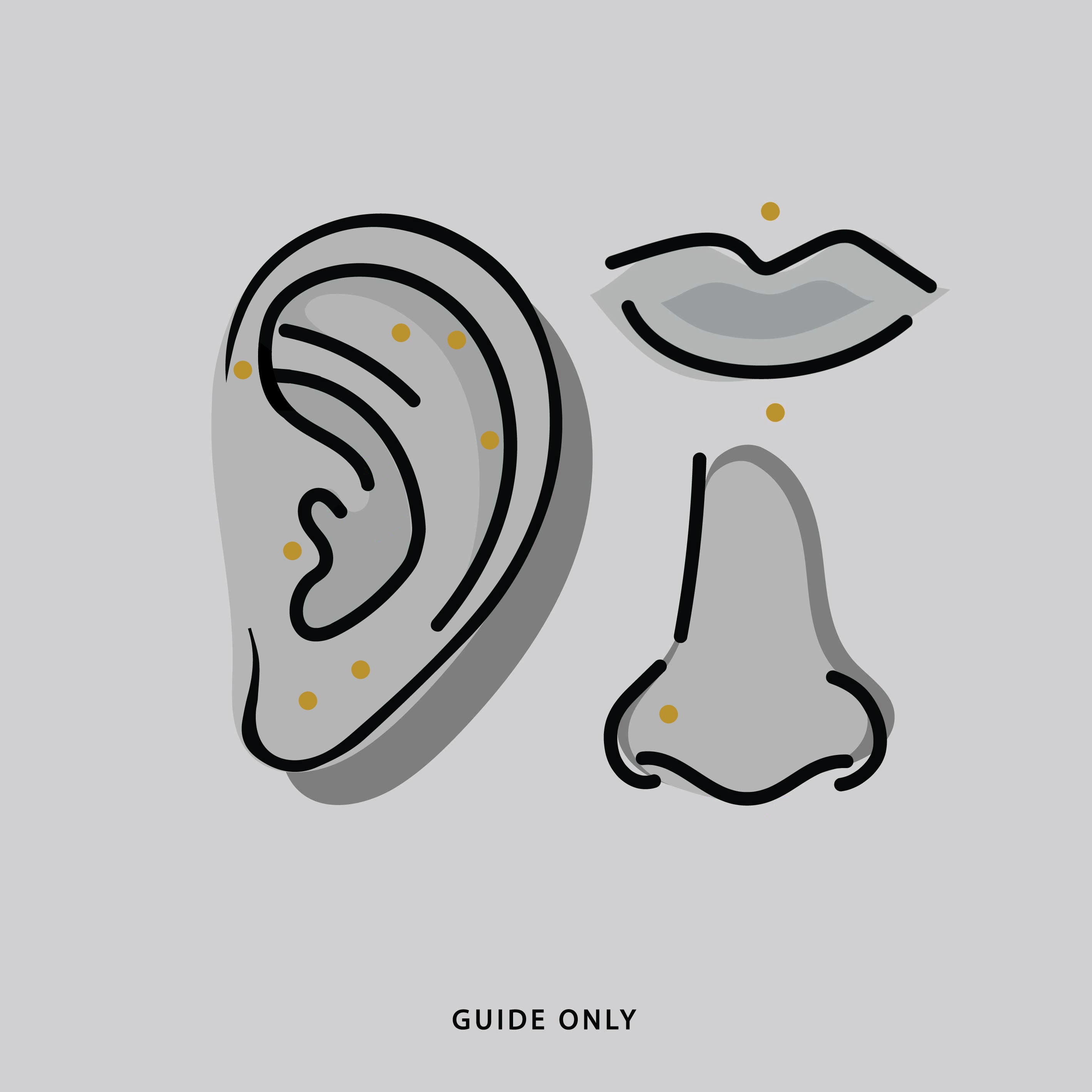 Illustration of ear, nose and lip piercing placements for the titanium stud