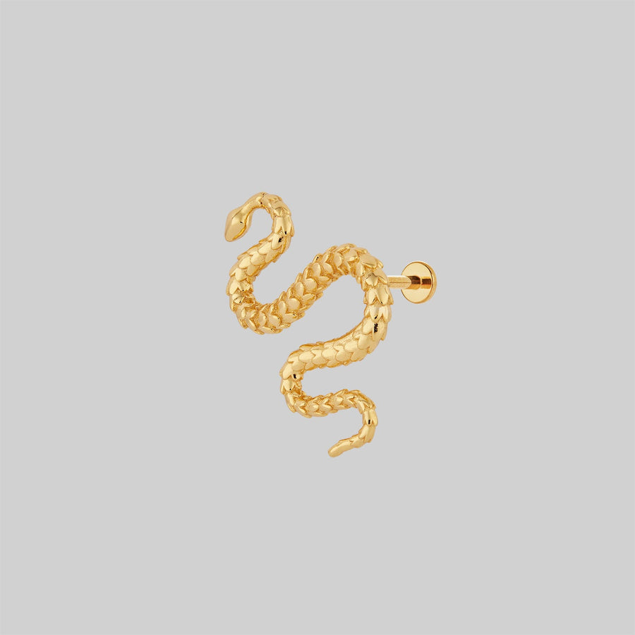 MINERVA. Snake Stud Earring - Gold gold snake flat cartilage stud