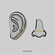 Illustration of ear and nose piercing placements for the piercing chain