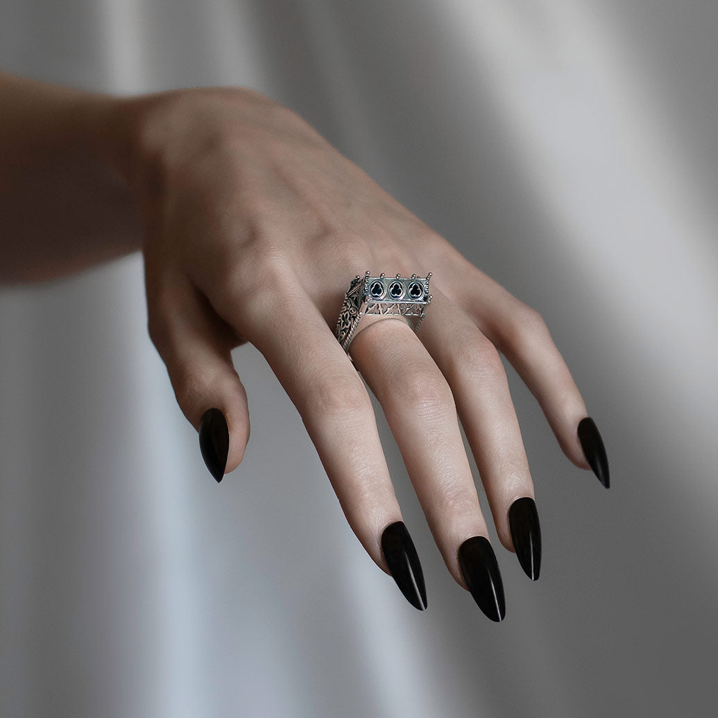 Silver Skeleton Double Band Gothic Ring Cathedral Secret crypt ring