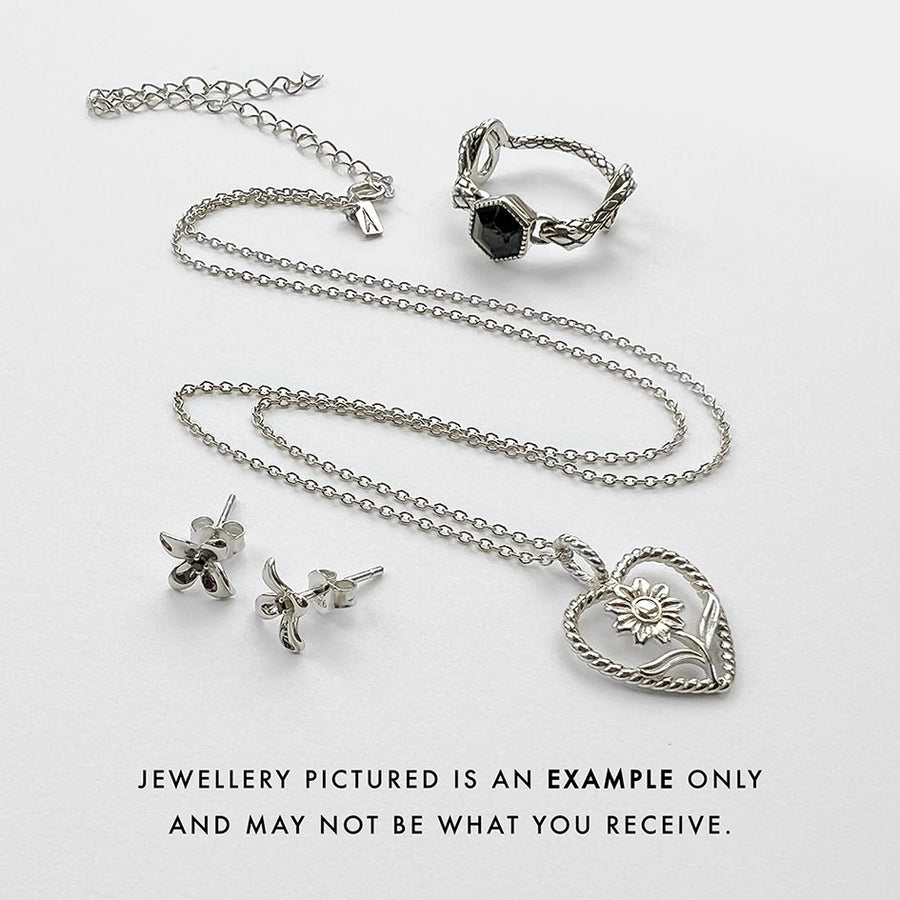 The REGALROSE Mystery Bag - Silver The REGALROSE Mystery Bag - Silver