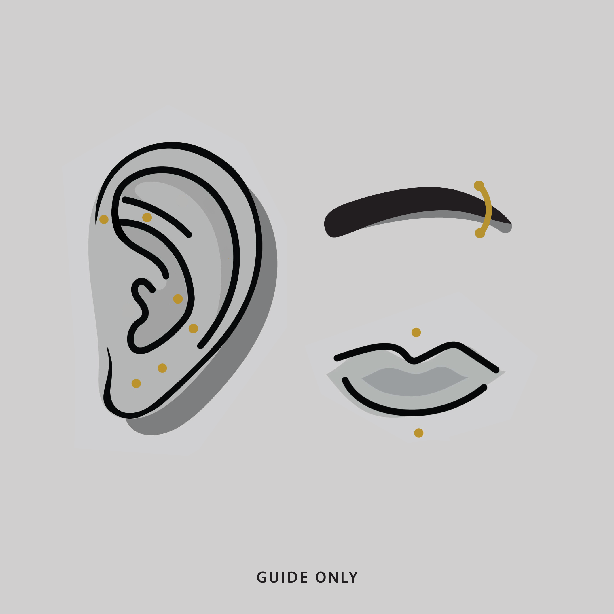 Illustration of guide ear, eyebrow, and lip piercing placement
