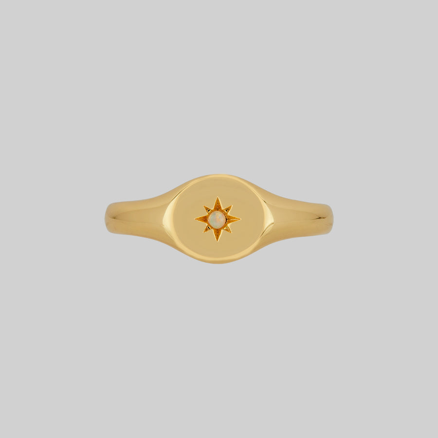 gold plated oval signet ring