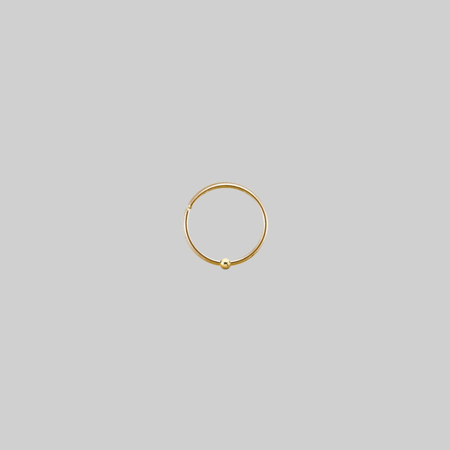 The Fine Ball Nose Ring The Fine Ball Nose Ring