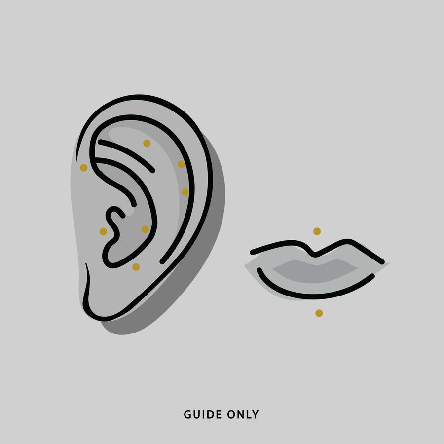 ELOWEN. Ornate Stud Earring - Silver Ear lip piercing guide
