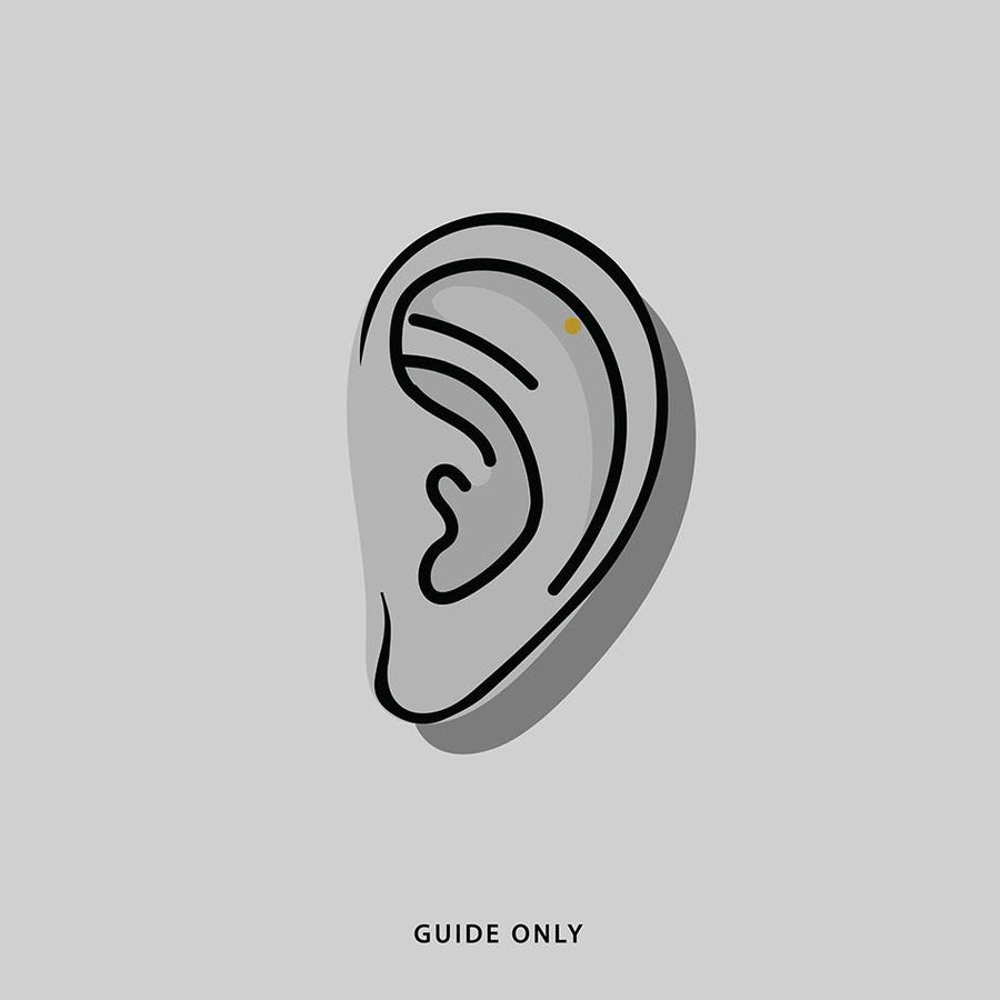 NARCISSA. Silver Web Stud Earring - Helix helix piercing