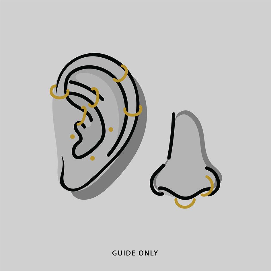 illustration of ear and nose piercing placements for the clicker jewellery