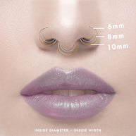 The Fine Nose Ring