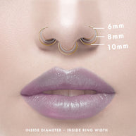 The Fine Nose Ring