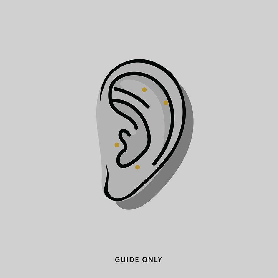 placement guide for helix flat tragus anti-tragus