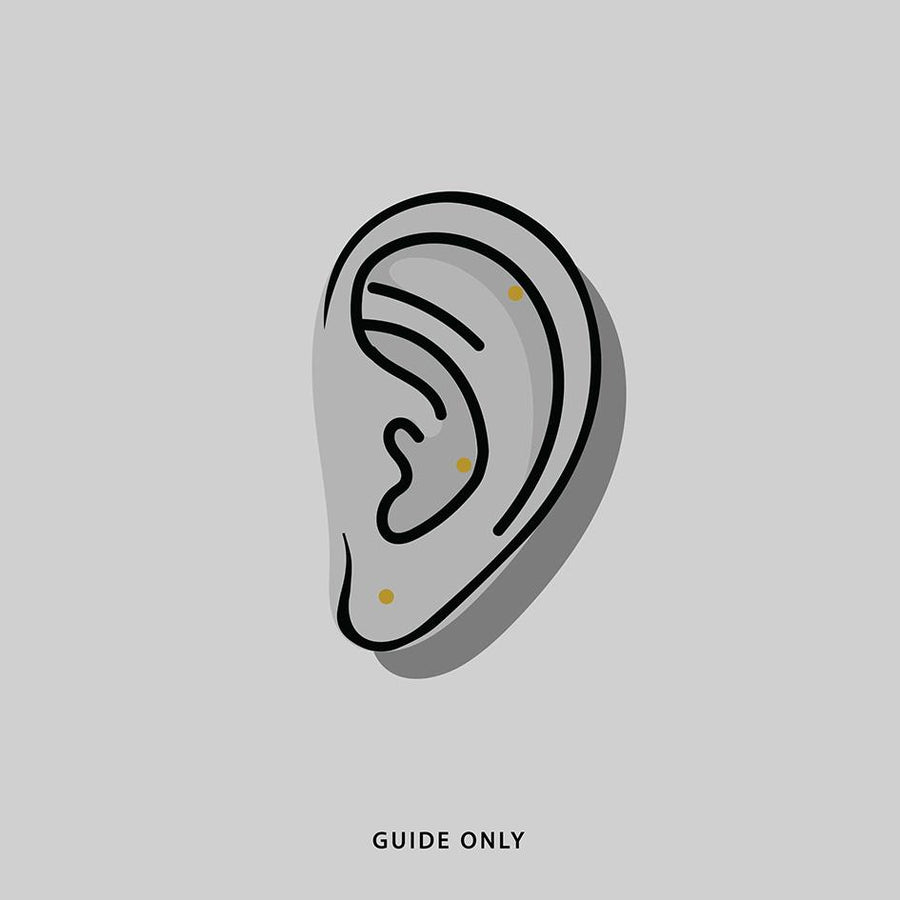 The Chunky Hoops - Silver lobe and cartilage piercing