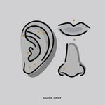 Illustration of ear, nose and lip piercing placements for the titanium stud