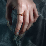 gothic quatrefoil dainty abalone shell ring gold