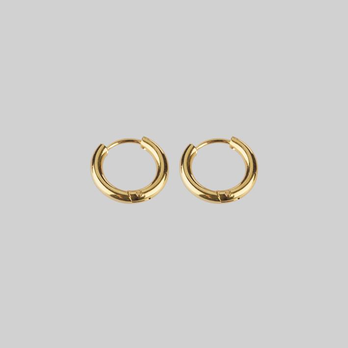 gold little hoop earrings 