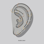 illustration of ear and cartilage gold hoop earring placements