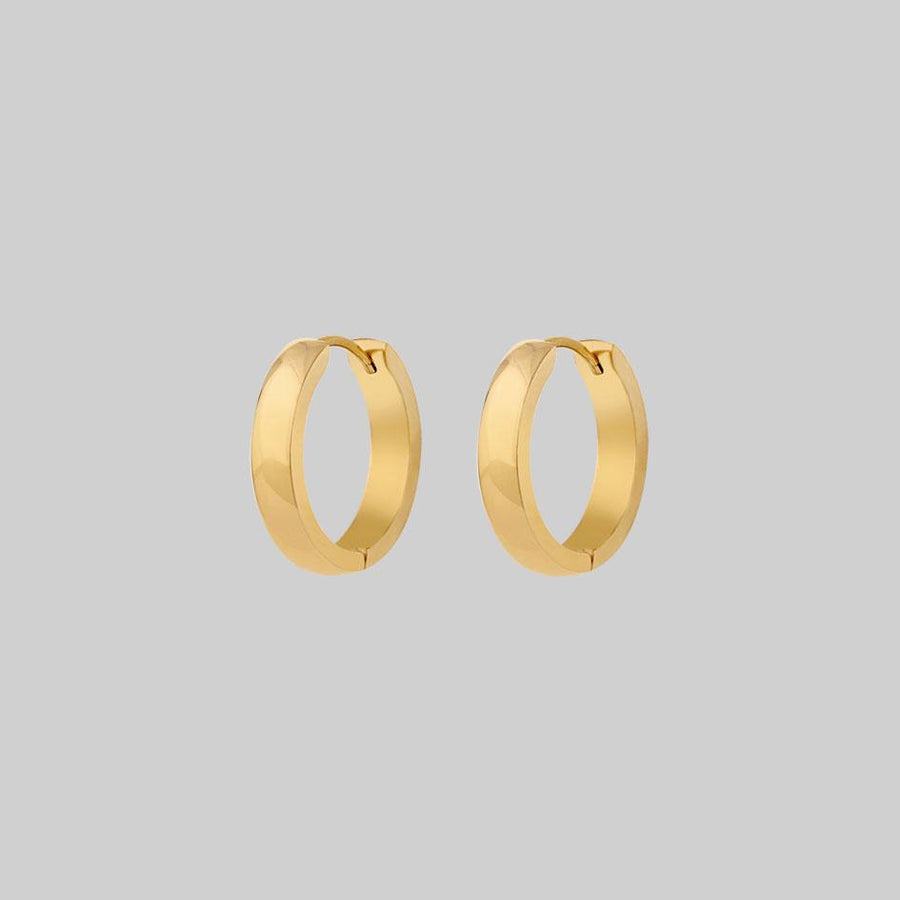 Gold chunky hoop earrings 