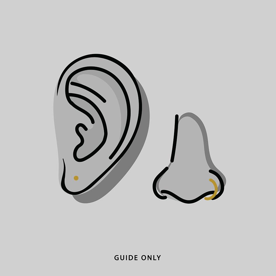 ear and nose piercings
